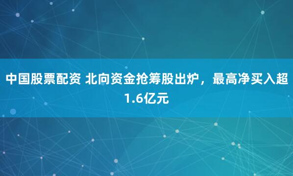 中国股票配资 北向资金抢筹股出炉，最高净买入超1.6亿元